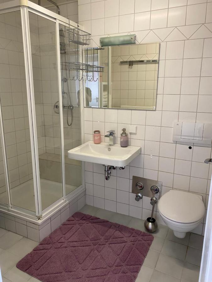 Moderne Ferien-Dachwohnung In Idyllischer Lage Neuweiler  Dış mekan fotoğraf